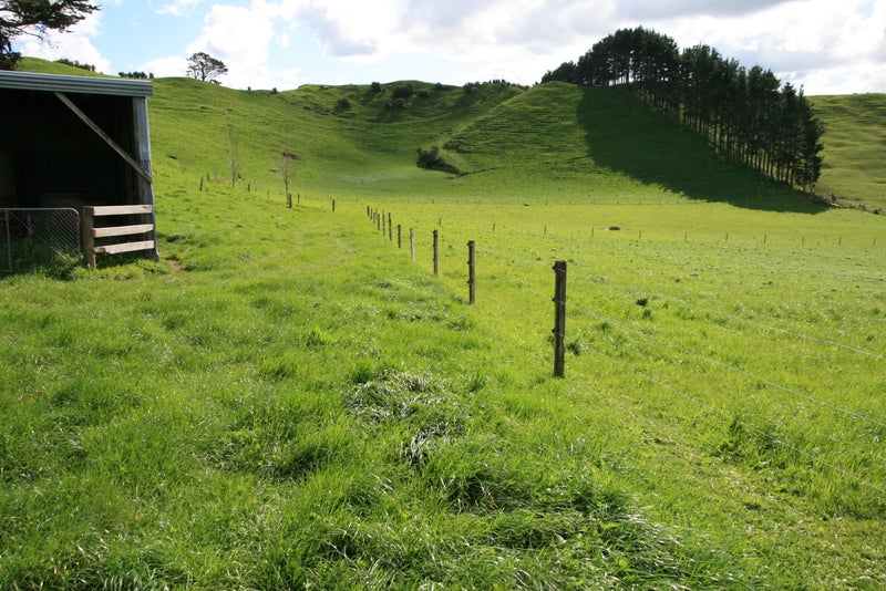 1289 Ahuroa Road, Makarau, Warkworth - Carousel 19