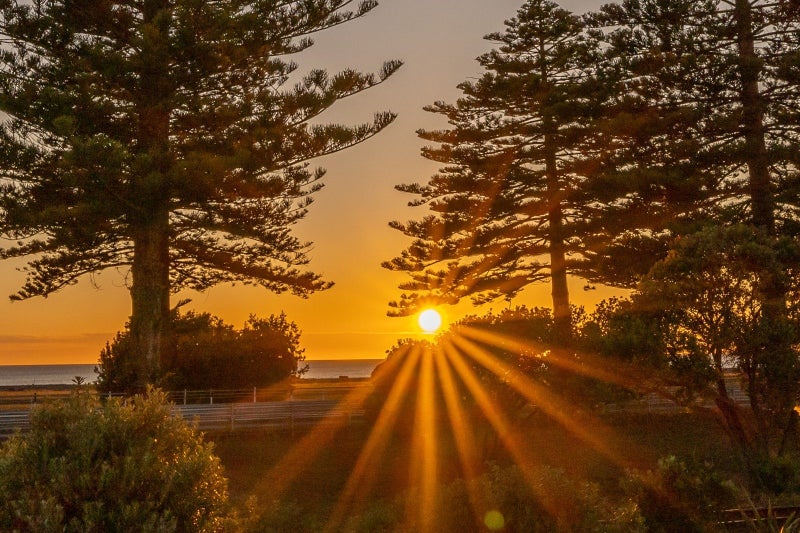 86A Te Awa Avenue, Te Awa, Napier - Carousel 20