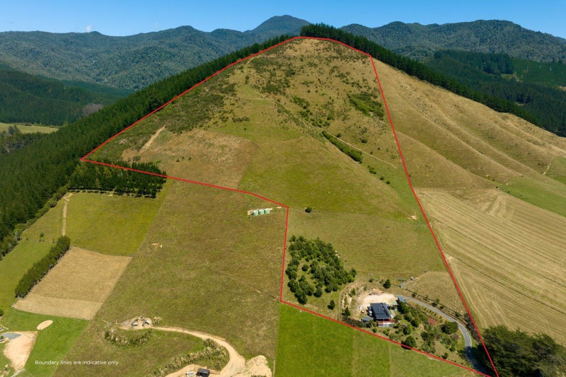 51 Bryants Road, Rai Valley - Carousel 33