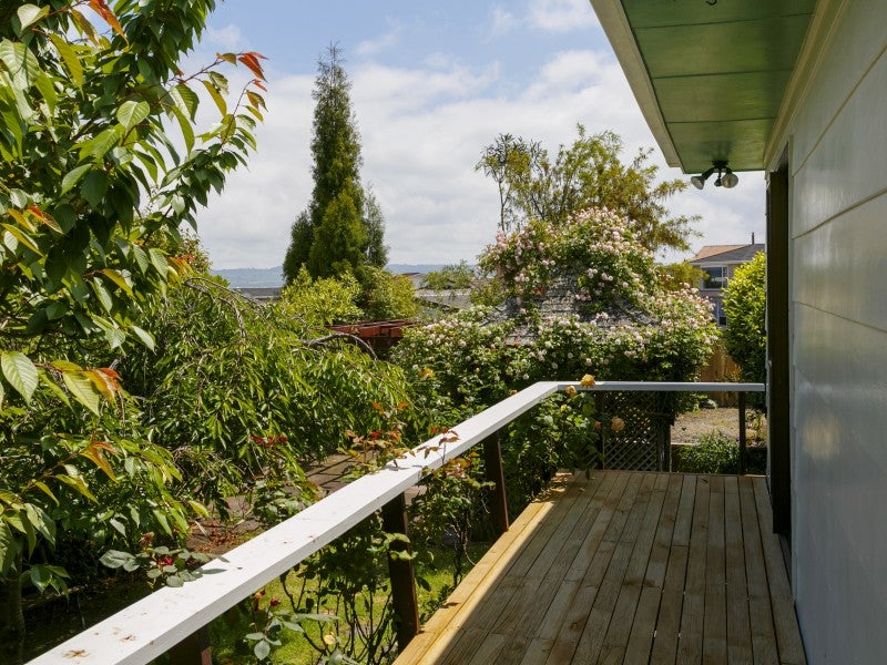 56 Hyde Avenue, Richmond Heights, Taupo - Carousel 20