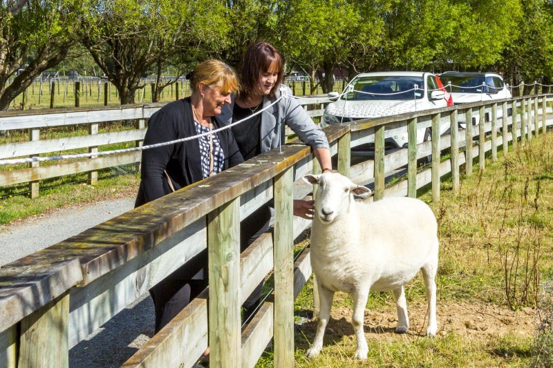 A/18 Flux Road, Upper Hutt - Carousel 14