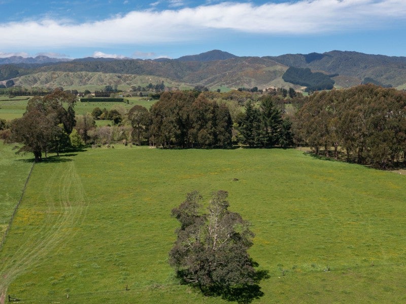 501 Arapaepae Road, OHAU, LEVIN - Carousel 2