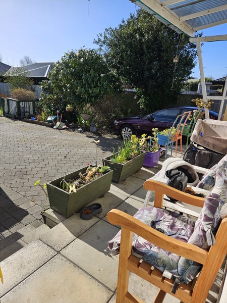 89 Milton Street, Somerfield, Christchurch - Carousel 9