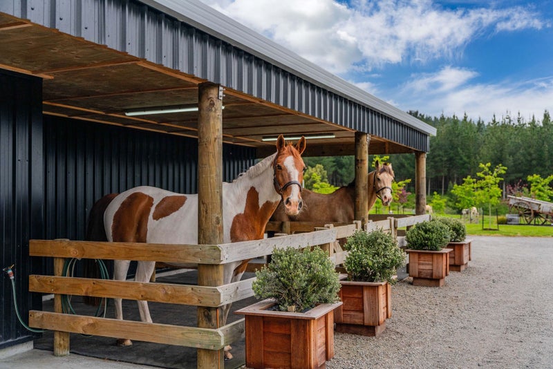 437 Poihipi Road, Wairakei, Taupo - Carousel 1