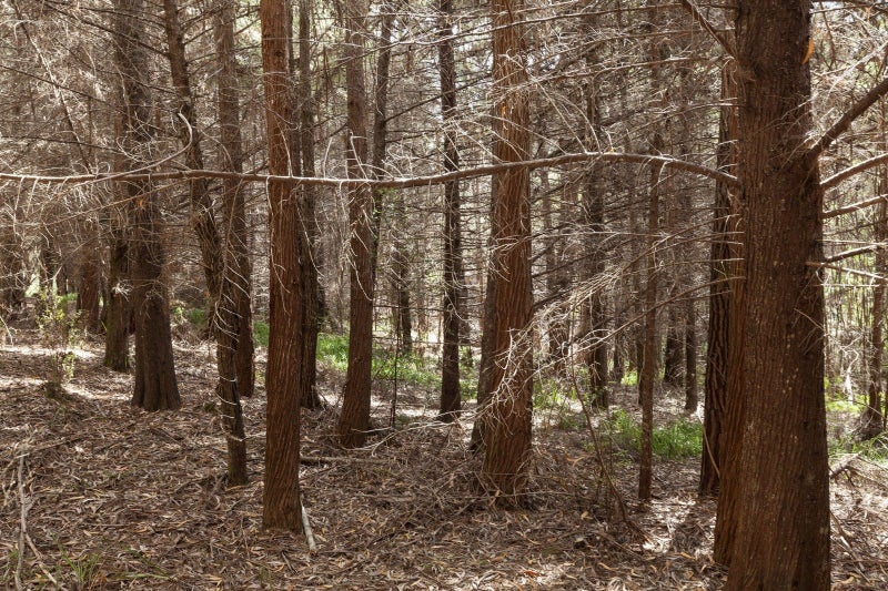 284 Taylor Road, Kaitaia - Carousel 29