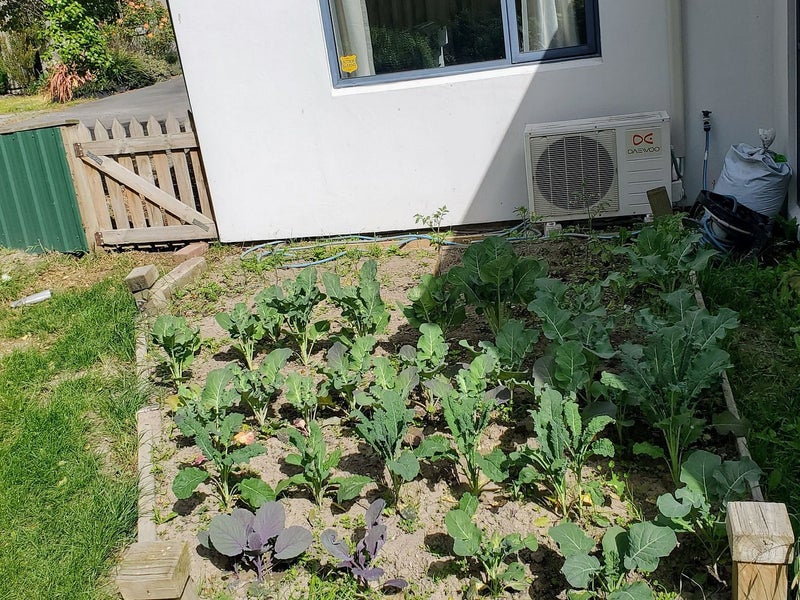 74A Sylvan Street, Hillmorton, Christchurch - Carousel 11