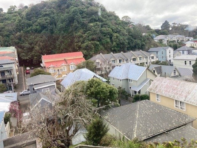 9 Durham Street, Aro Valley, Wellington - Carousel 11