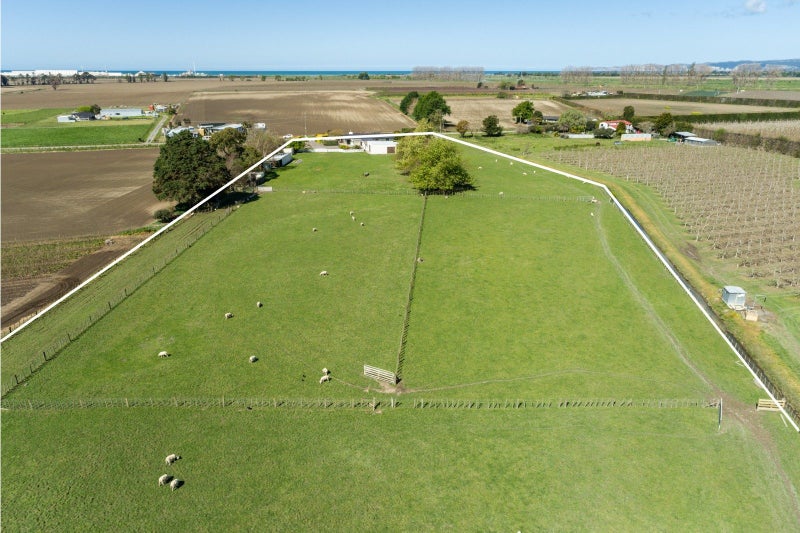 45 Jessep Road, Meeanee, Napier - Carousel 31