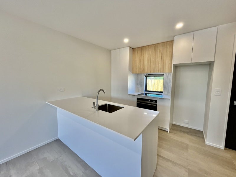 1/15 Plunket Street, Spreydon, Christchurch - Carousel 2