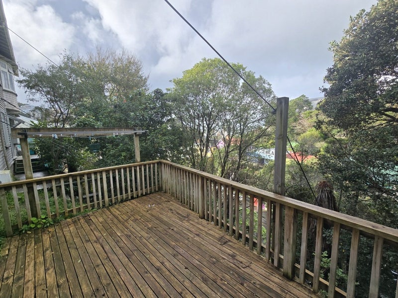 26 Honiana Te Puni Street, Aro Valley, Wellington - Carousel 6