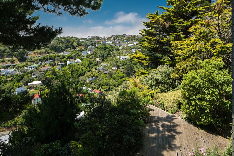 9 Nebraska Way, Brooklyn, Wellington - Carousel 21