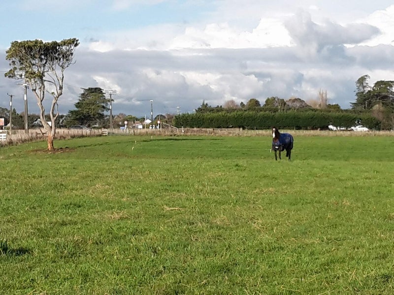 0 Rongotea Rd, Rongotea - Carousel 5