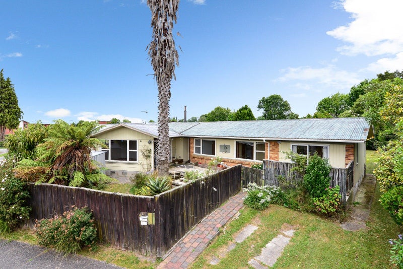19 Patricia Avenue, Hamilton East, Hamilton - Carousel 2