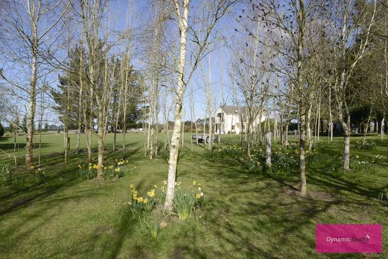 636 Woodfields Road, West Eyreton - Carousel 21