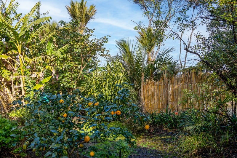 2 Kauri Point Road, Laingholm, Auckland - Carousel 10