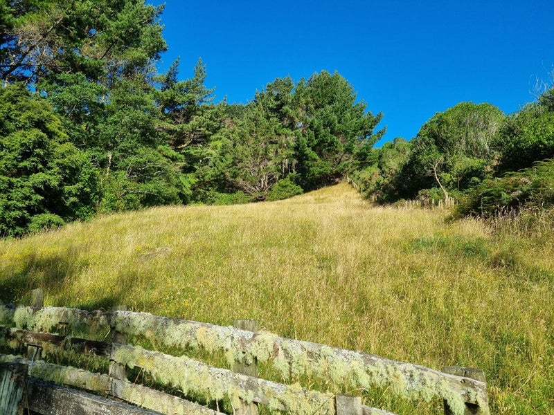 234 Stratton Street, Normandale, Lower Hutt - Carousel 1