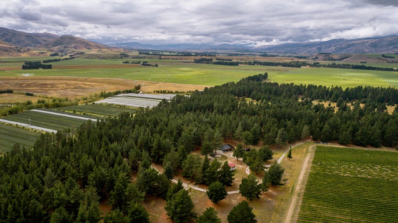 411A Maori Point Road, Tarras - Carousel 20