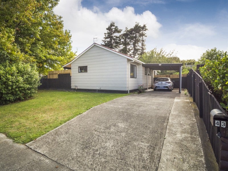 43 Chatsworth Place, Highbury, Palmerston North - Carousel 13