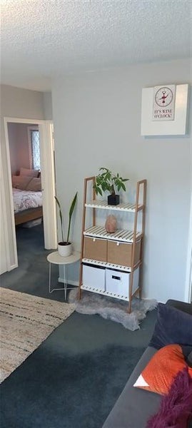 2/4 Averill Avenue, Kohimarama, Auckland - Carousel 2