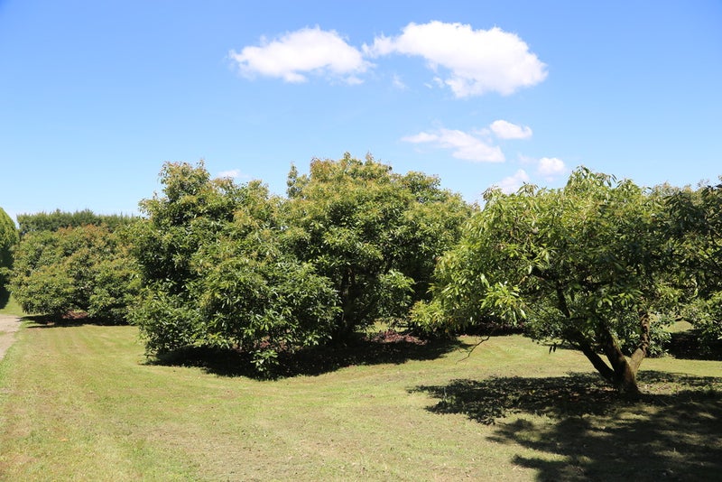 334 Wharawhara Road, Katikati - Carousel 2