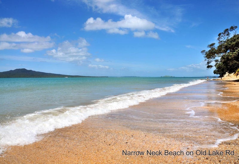 2/28 Hemi Street, Narrow Neck, Auckland - Carousel 2