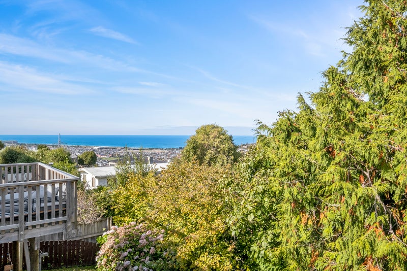 8 Wills Street, Balaclava, Dunedin - Carousel 20