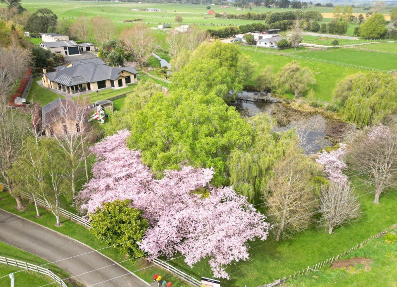 176 State Highway 3, Westmere, Whanganui - Carousel 50