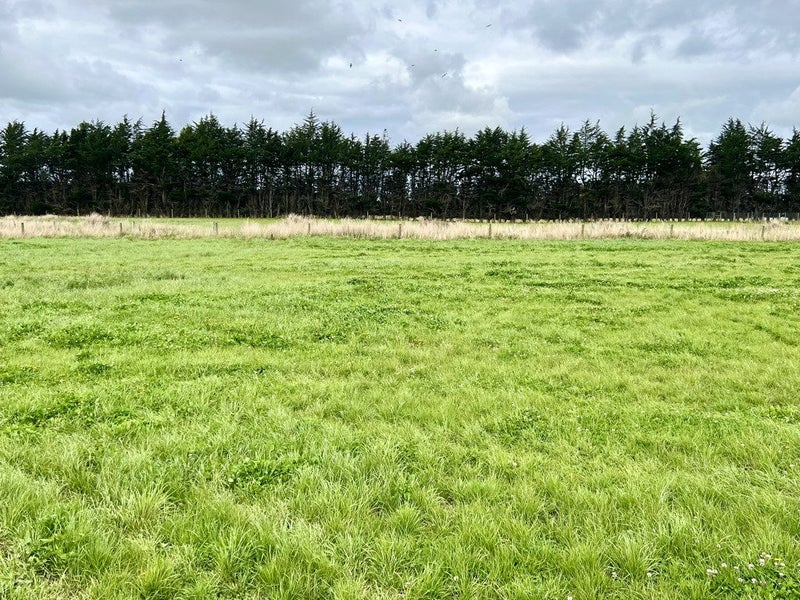 79 Brunswick Way, Seaward Bush, Invercargill - Carousel 6