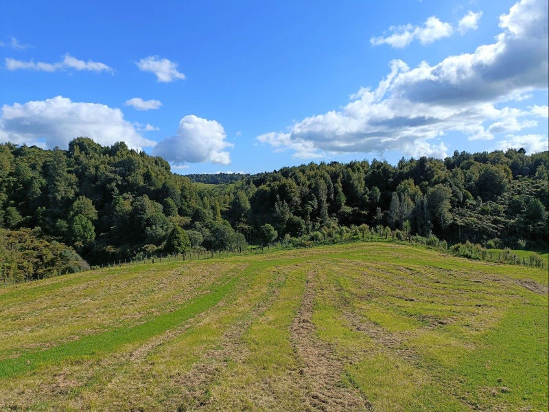 956F Whakamarama Road, Whakamarama, Tauranga - Carousel 14