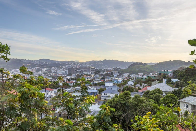 3/153 Owen Street, Newtown, Wellington - Carousel 2