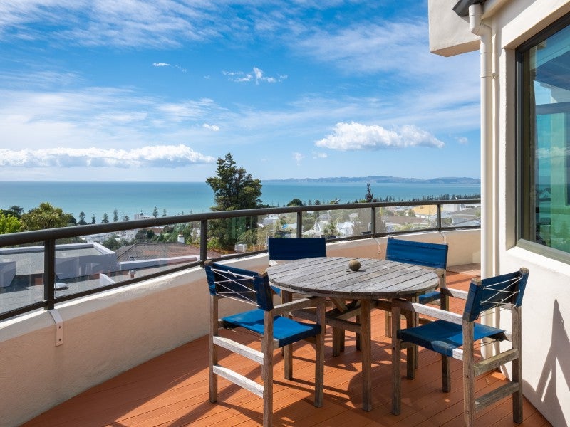 14 Harvey Road, Bluff Hill, Napier - Carousel 2