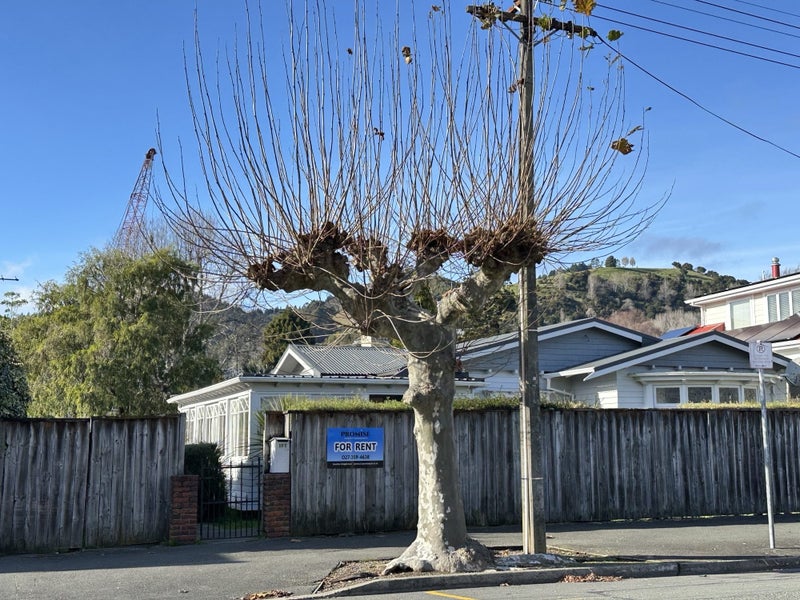 157 Collingwood Street, Nelson, Nelson - Carousel 24