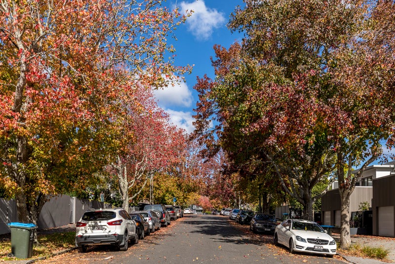 2/5 Balfour Road, Parnell, Auckland - Carousel 10