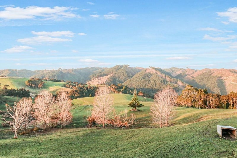 130 Highridge Road, Papakura - Carousel 23