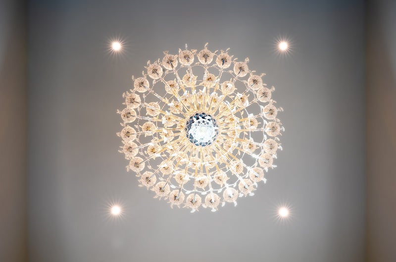 14 Myra Evelyn Grove, Albany - Carousel 26