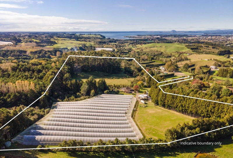 234 Willoughby Road, Katikati - Carousel 2
