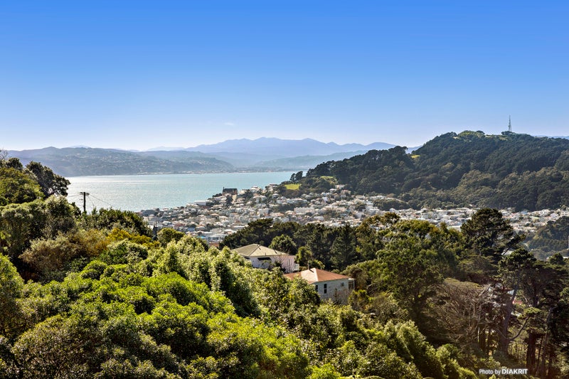 1 Coolidge Street, Brooklyn, Wellington - Carousel 2