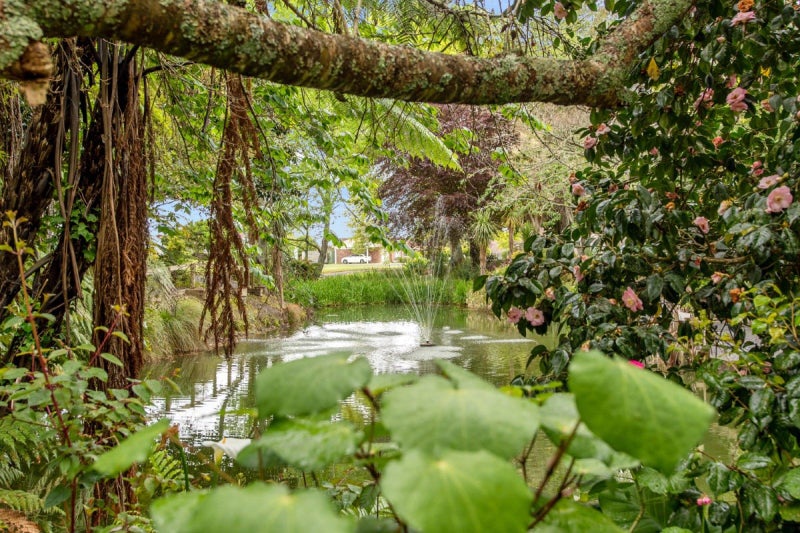 11B Kingfisher Way, Te Kowhai, Hamilton - Carousel 13