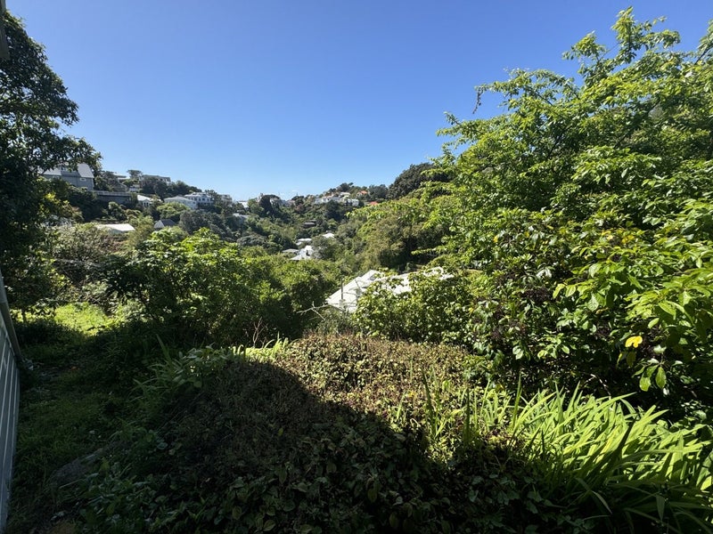 55 Raroa Road, Kelburn, Wellington - Carousel 22