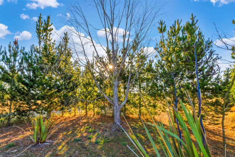 604 Downs Road, Rangiora - Carousel 28