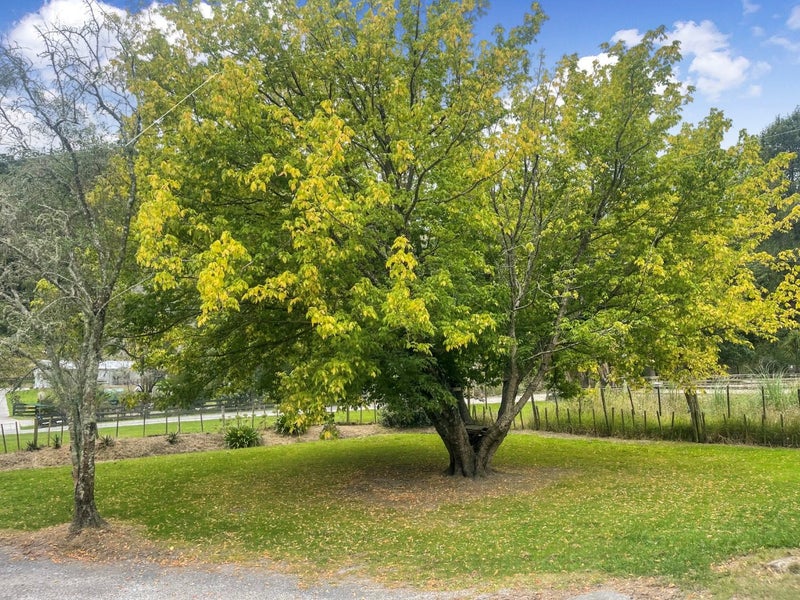 55 Dryden Street, Whataupoko, Gisborne - Carousel 2