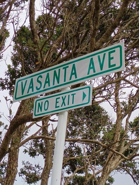 6 Vasanta Avenue, Ngaio, Wellington - Carousel 2