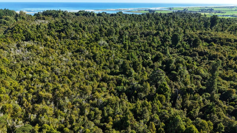 0 South Terrace Road, Karamea, Karamea - Carousel 49