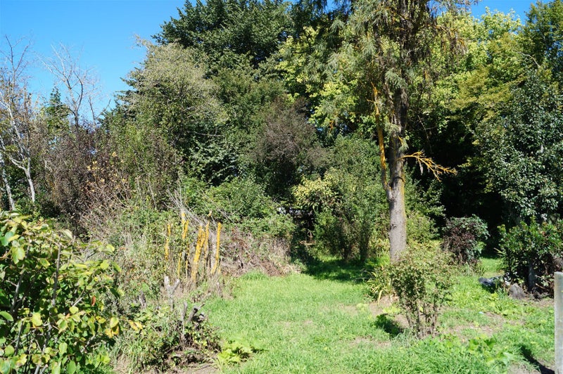4 Balmoral Street, Waiau, Waiau - Carousel 15