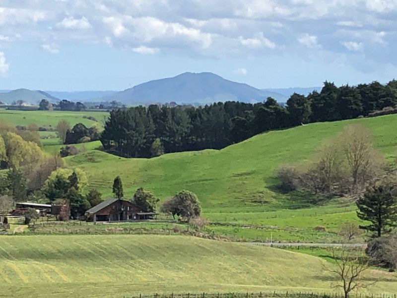 45 Ellicott Road, Rotoorangi, Te Awamutu - Carousel 21