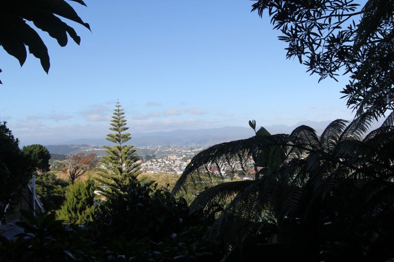 36 Havelock Street, Mornington, Wellington - Carousel 1