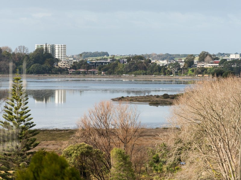 24 Wiremu Street, Brookfield, Tauranga - Carousel 20