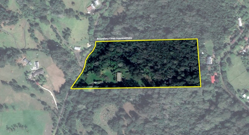 5 Seibel Road, Henderson Valley, Auckland - Carousel 20