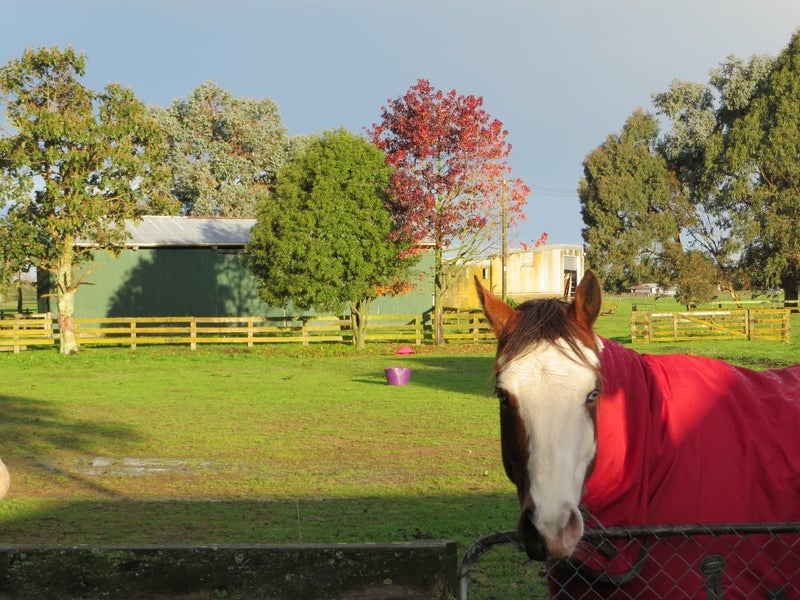 132 Marshmeadow Road, Newstead - Carousel 11