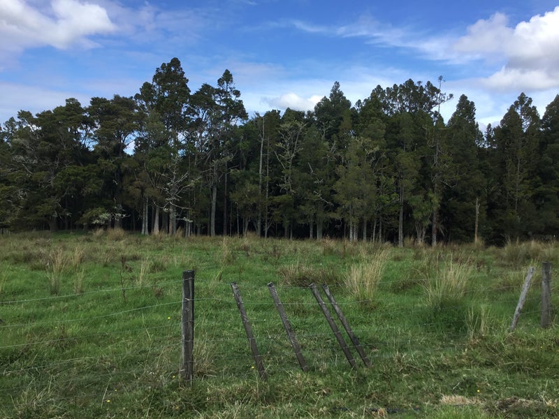 43 Ti Kouka Way, Kaiwaka - Carousel 1